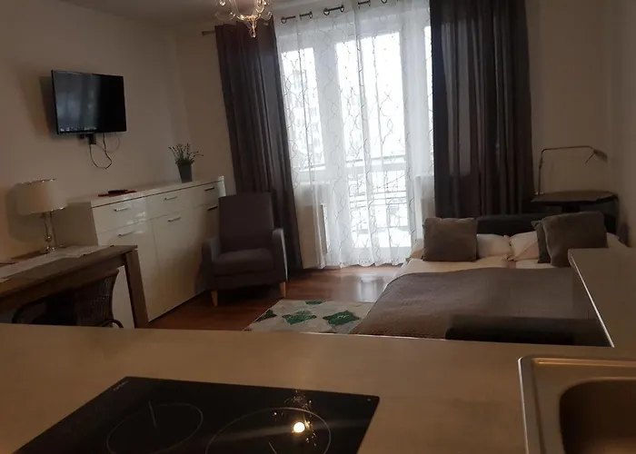 Stare - Old Town Apartament Elbląg